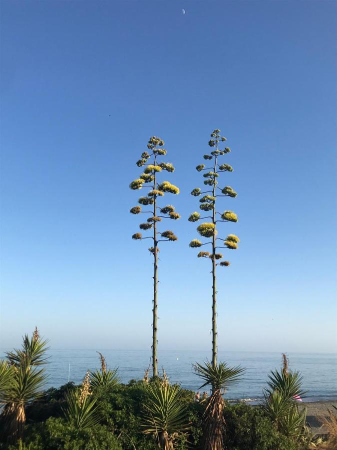 Marbella - Estepona Beach Frontline Apartment Extérieur photo